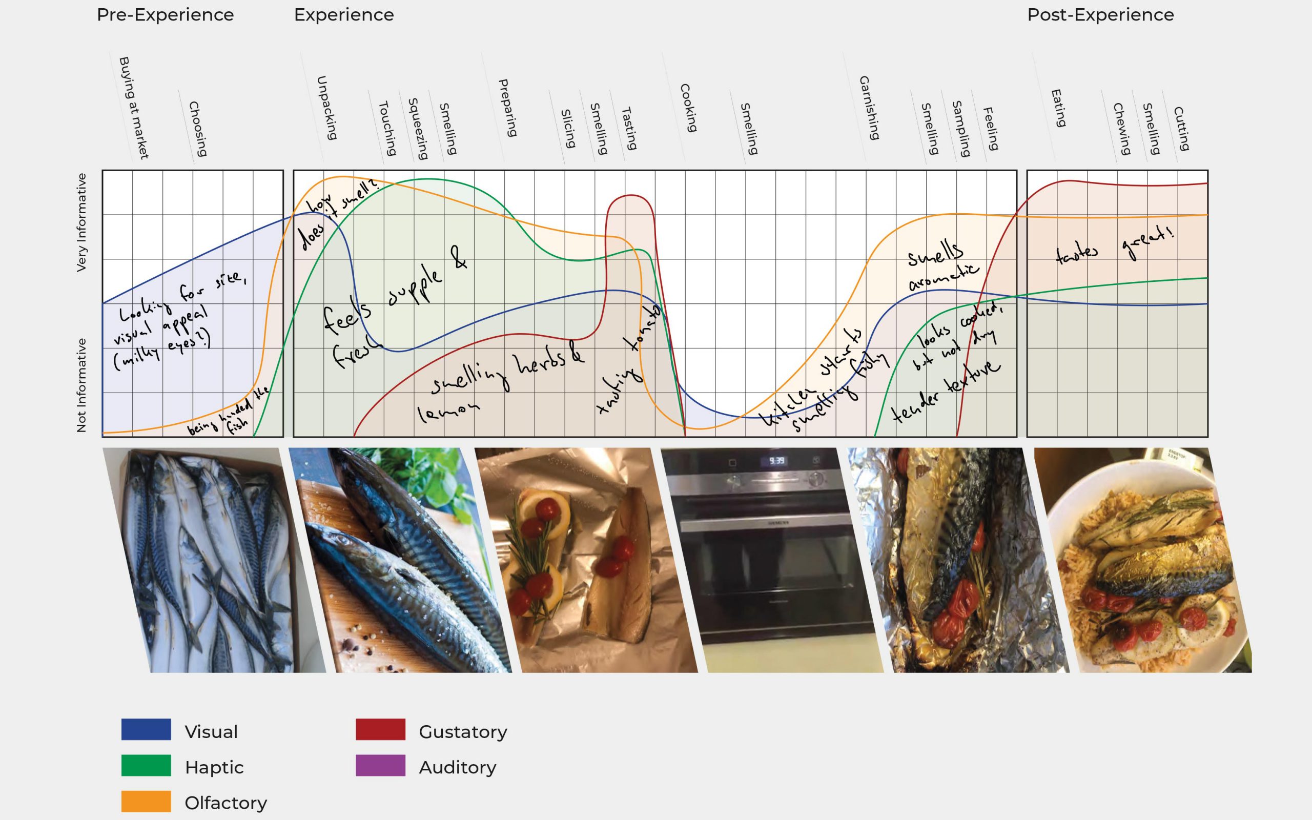 Experience_Map